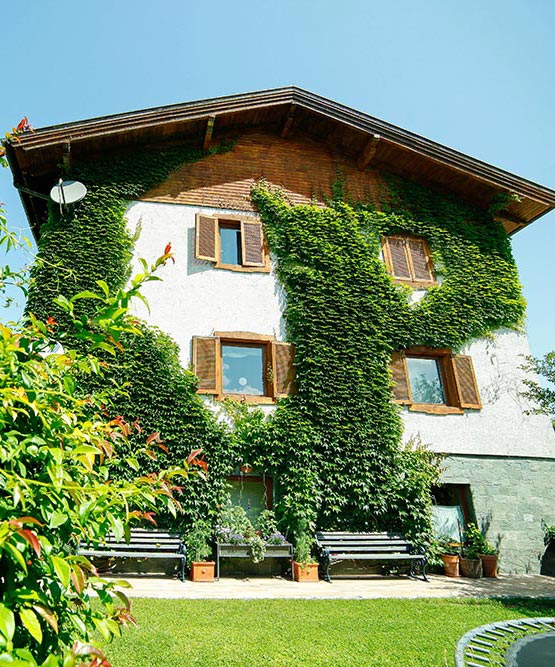 Gaestehaus Huss - Anblick aus dem Garten